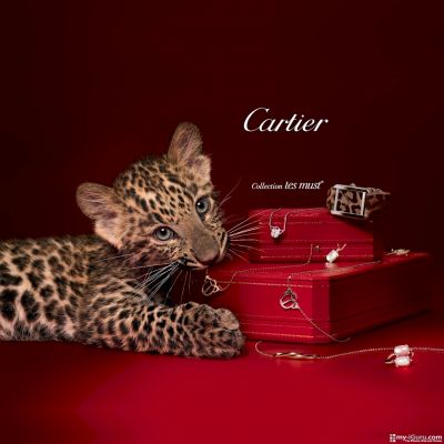 Cartier Jewelery